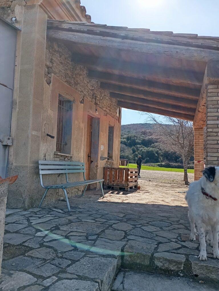 Porche Figuerola de Meia, foto 3